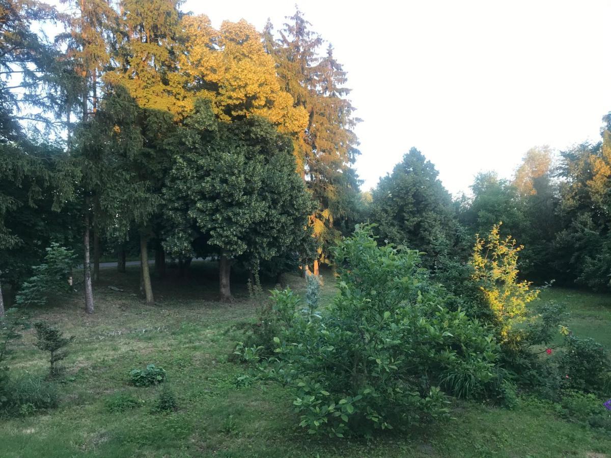 Zabytkowy Drewniany Dom Z 1887 Roku Nowy Dwór Gdański エクステリア 写真